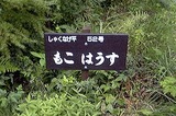 cf6a7390.jpg