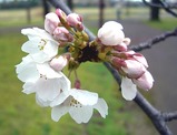 d295c2d5.jpg