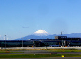 557Fuji