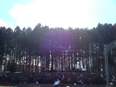 防雪林09