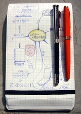 MOLESKINE REPORT