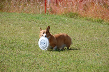 rihito