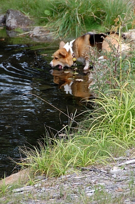 DSC_8489