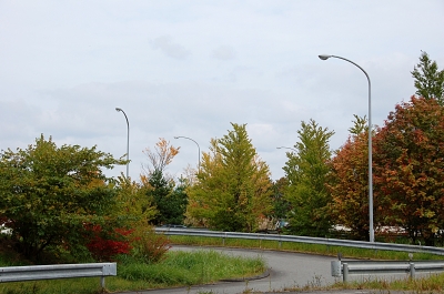 DSC_8560