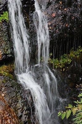 DSC_8426