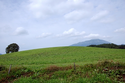 DSC_8547