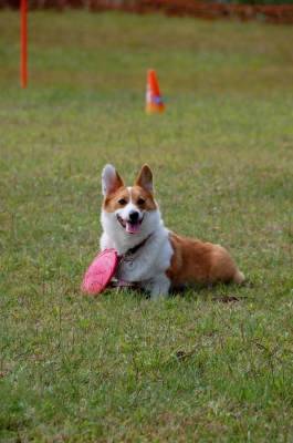 DSC_8525