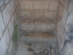s-PICT0110