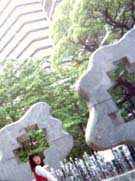 tomo