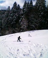 pic_0210.jpg