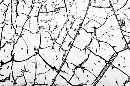 CRW_6815
