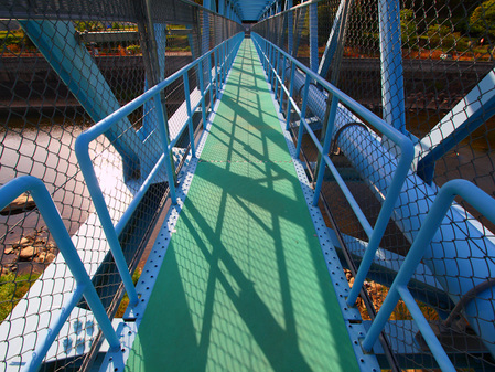 P4242281