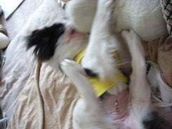 R0005_100127