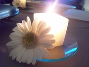PAP_0090