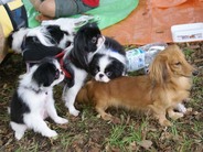DSC07721_091012
