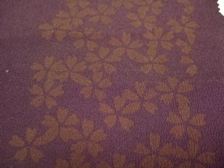 DSCF7365
