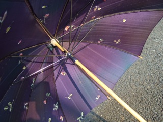 DSCF9906