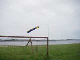 50d2bb0f.jpg
