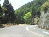79c31385.JPG
