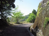 b8d7991e.JPG