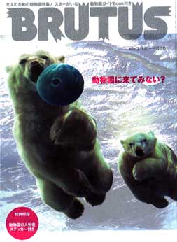 ブルータス063