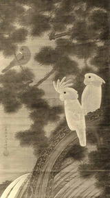 オウム