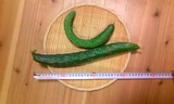 3ba6fed5.jpg