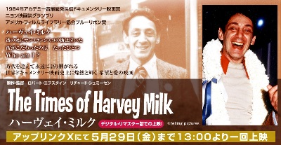 harveymilk_head