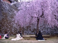 CIMG0538