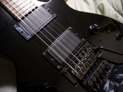 esp