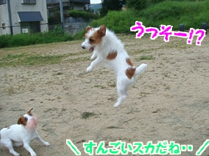 広場お散歩16