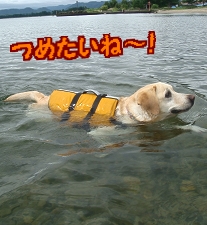 琵琶湖2日目