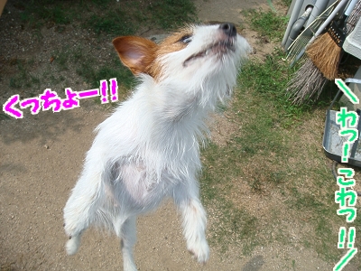 DSC04632
