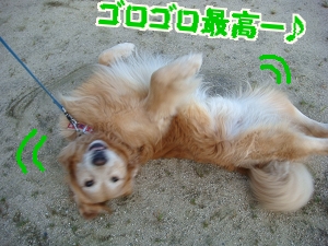 広場7