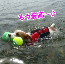 琵琶湖2日目2