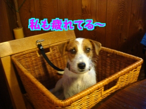 2日目12