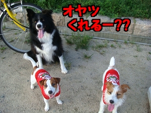 広場13