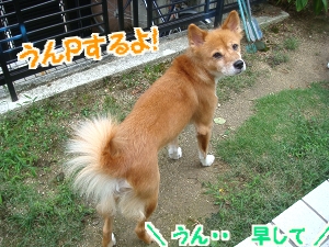 DSC04896