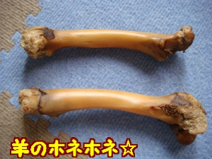 骨