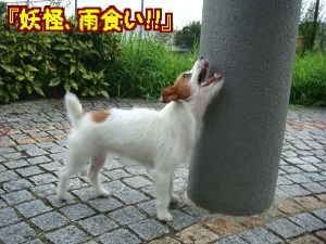 広場お散歩5