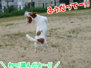 広場お散歩15