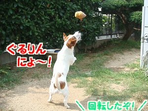 お庭遊び6