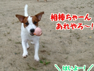 広場お散歩14