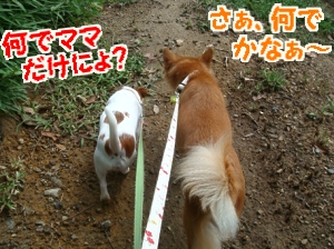 朝散歩10