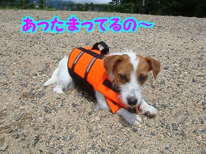 琵琶湖2日目13