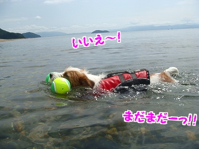 琵琶湖2日目16