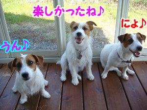 2日目14