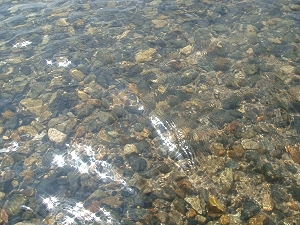 琵琶湖2日目6