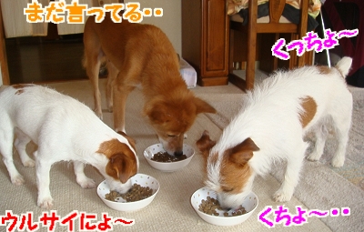 朝散歩16