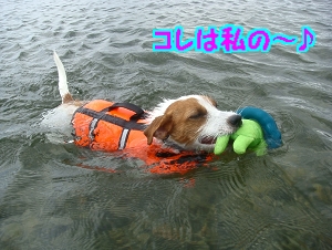 琵琶湖2日目10